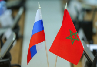 wp header logo177296041094933746