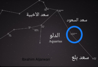 wp header logo17729640072016921964