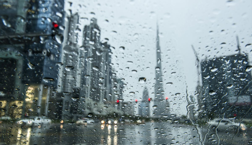 wp header logo1772982010200202577