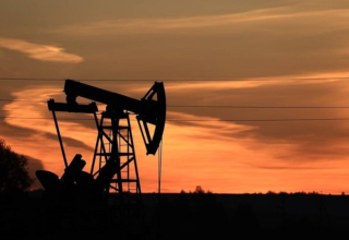 wp header logo17729892091076013649