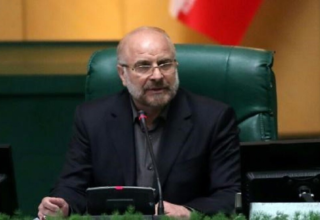 wp header logo1773000039781166396