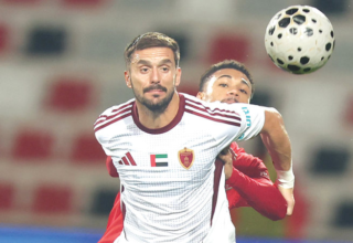 wp header logo177301804769281912