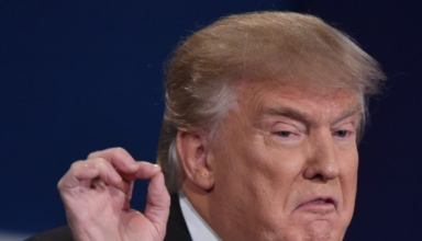 wp header logo177302883864968118