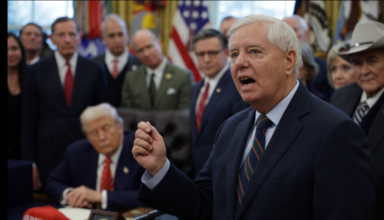 wp header logo17730324141450187568