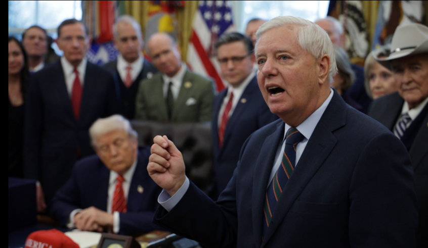 wp header logo17730324141450187568