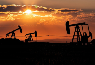 wp header logo17730324201606772857