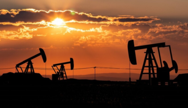 wp header logo17730324201606772857