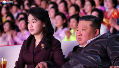 wp header logo17730324591179580444