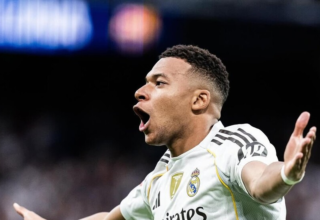 wp header logo17730360271231922729