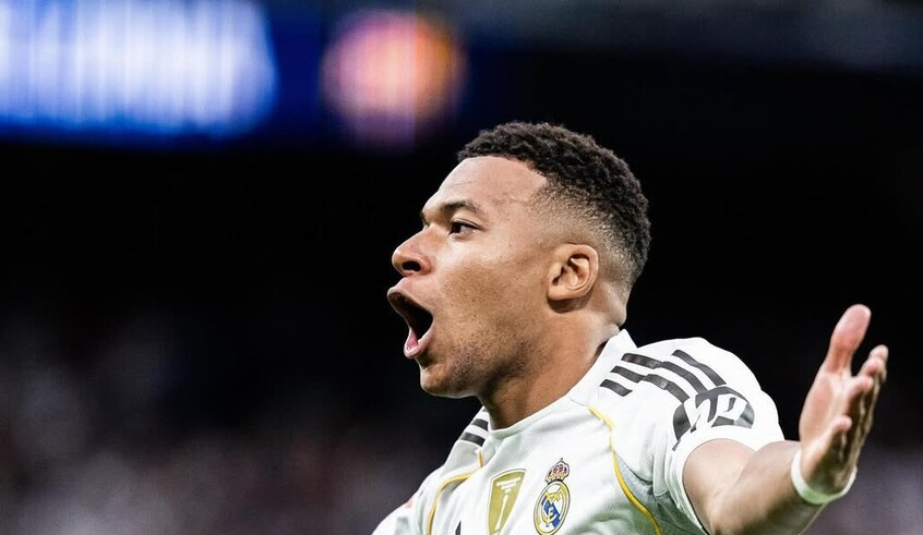 wp header logo17730360271231922729