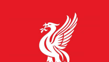 wp header logo1773054008878611779