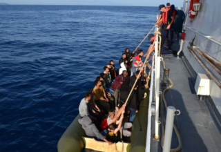 wp header logo17730576472059921973