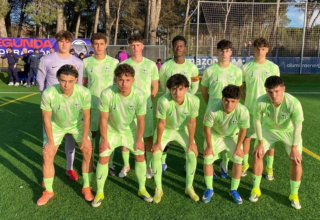 wp header logo17730612091241544085