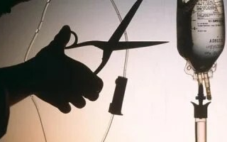 wp header logo1773064813919032832