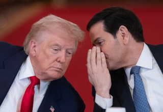 wp header logo17730684881875286769