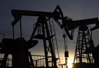 wp header logo17730720151775373483