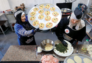 wp header logo1773104409996769886