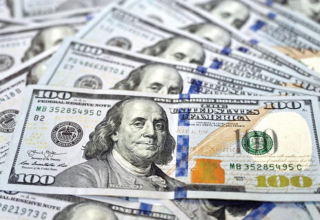 wp header logo17731152112041627114