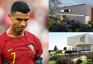 wp header logo1773140409124135586