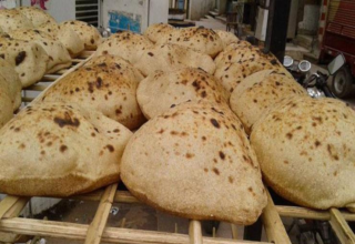 wp header logo17731656081498713938