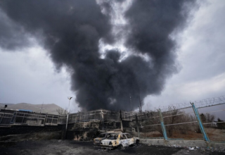 wp header logo1773180025439849894