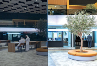 wp header logo17731908071700879008