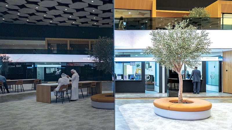 wp header logo17731908071700879008