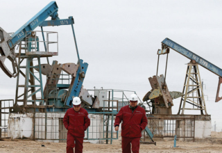 wp header logo17731908151477833816