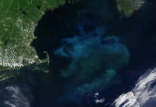 wp header logo17732016761431481296