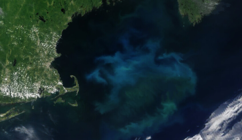 wp header logo17732016761431481296