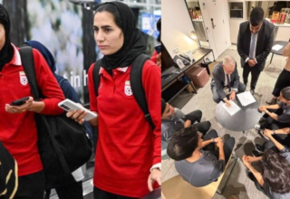 wp header logo17732052293864282