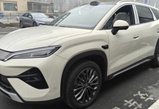 wp header logo17732304101097285748