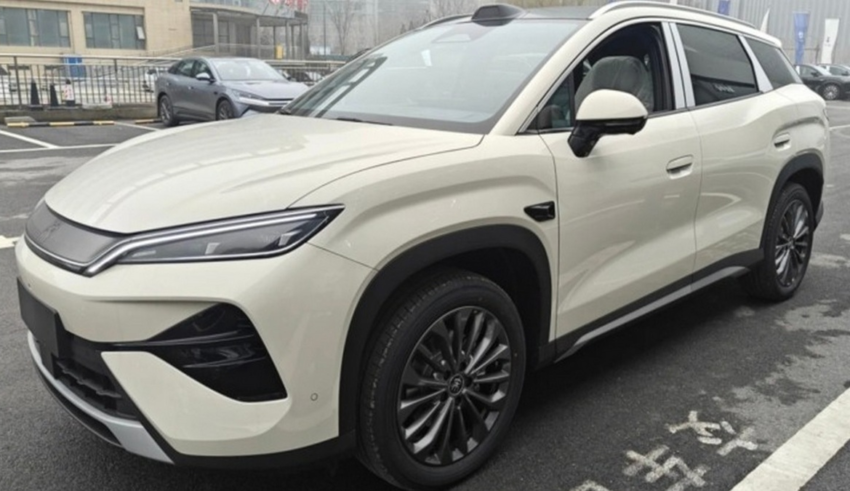 wp header logo17732304101097285748