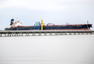 wp header logo1773230419979483526