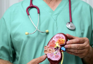 wp header logo17732304321386188508