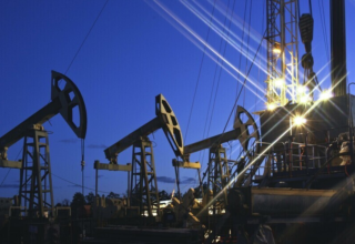 wp header logo17732448091719180913