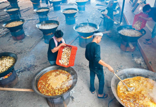 wp header logo17732772321722193254