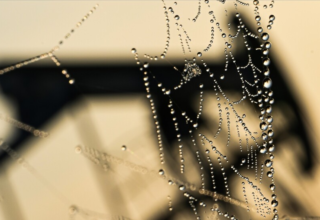 wp header logo17732988331503014546