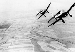 wp header logo17733024611223862785