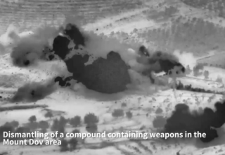 wp header logo17733024851822331096