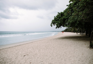 wp header logo1773306009715339054