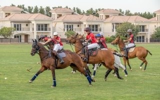 wp header logo17733132091199026698