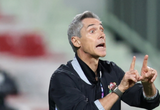 wp header logo1773313250432724448