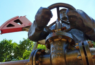 wp header logo1773316824312067005