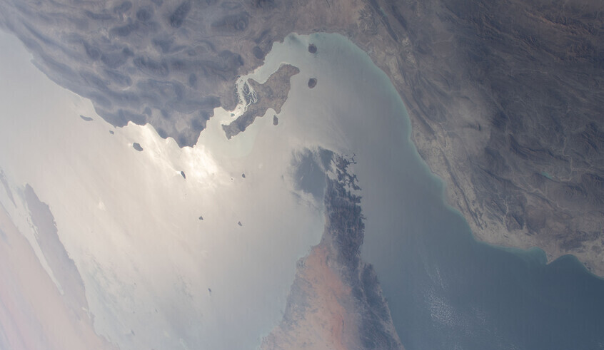 wp header logo17733240491411434507