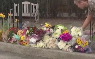 wp header logo17733312231440698150