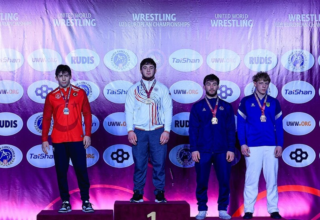 wp header logo1773331231742930565