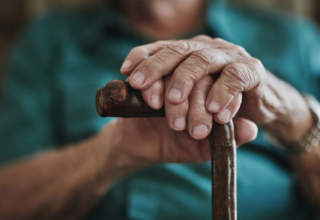 wp header logo17733384271892791781