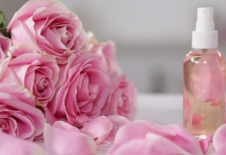 wp header logo17733852062078698009