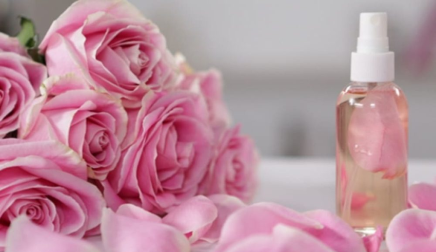 wp header logo17733852062078698009